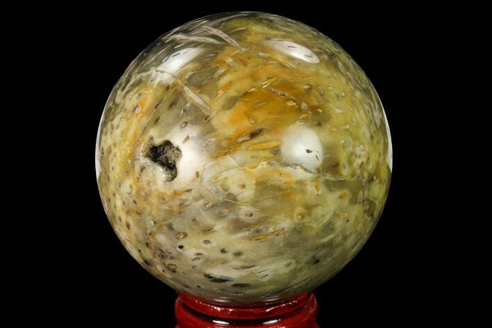 Polished Petrified Palmwood (Palmoxylon) Sphere #167624